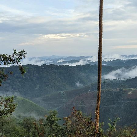 Nyungwe Village Kitabi Ngoại thất bức ảnh
