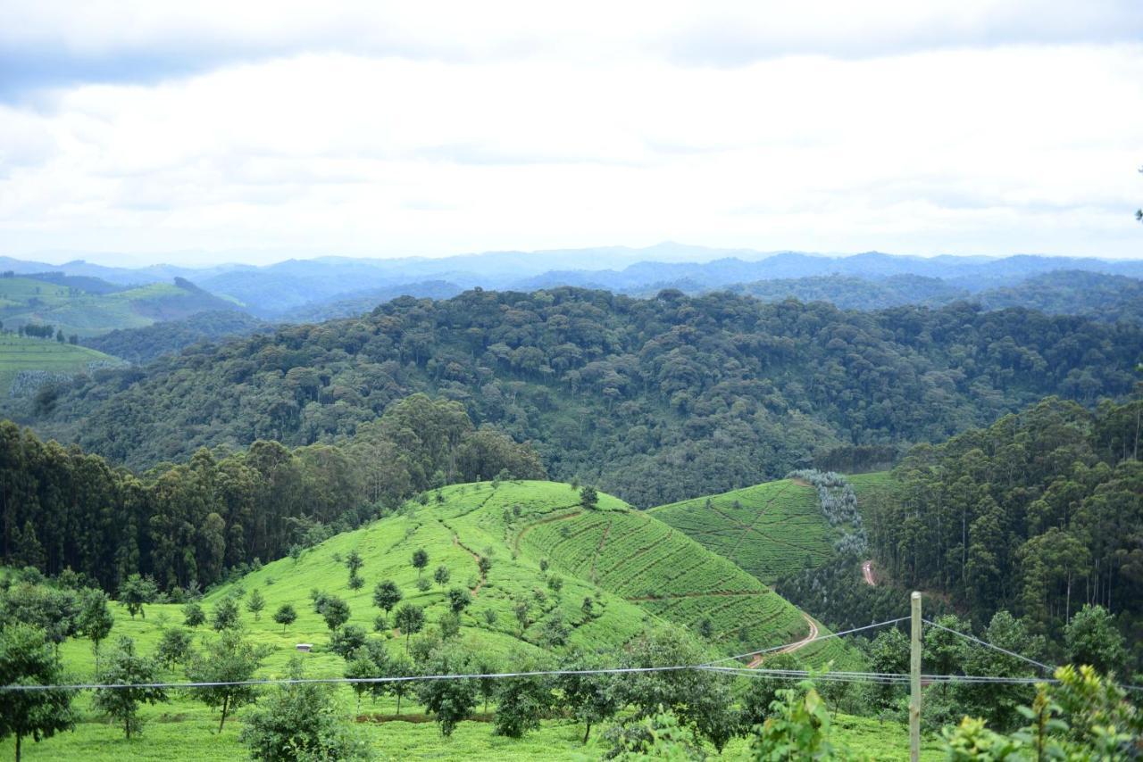 Nyungwe Village Kitabi Ngoại thất bức ảnh