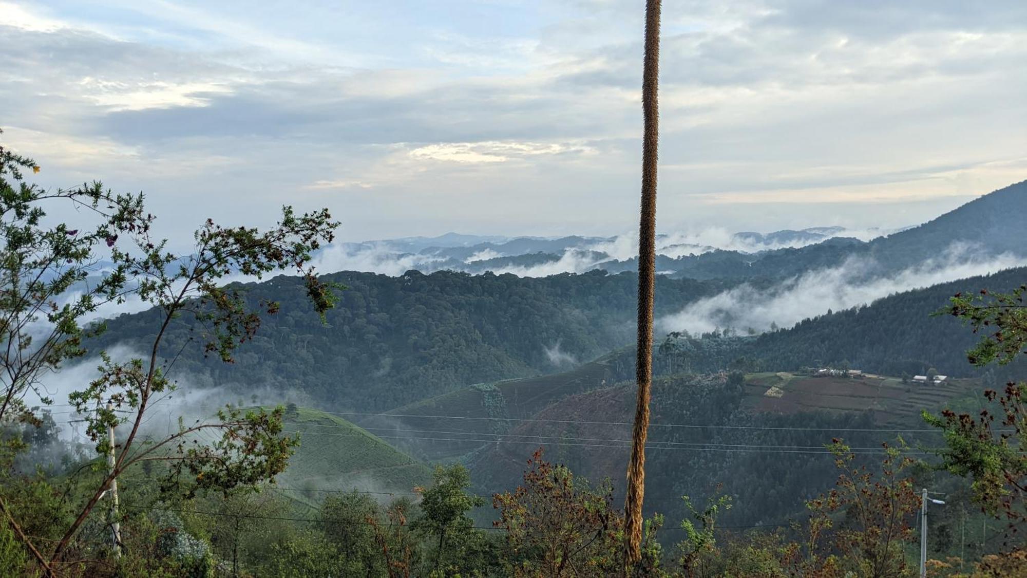 Nyungwe Village Kitabi Ngoại thất bức ảnh