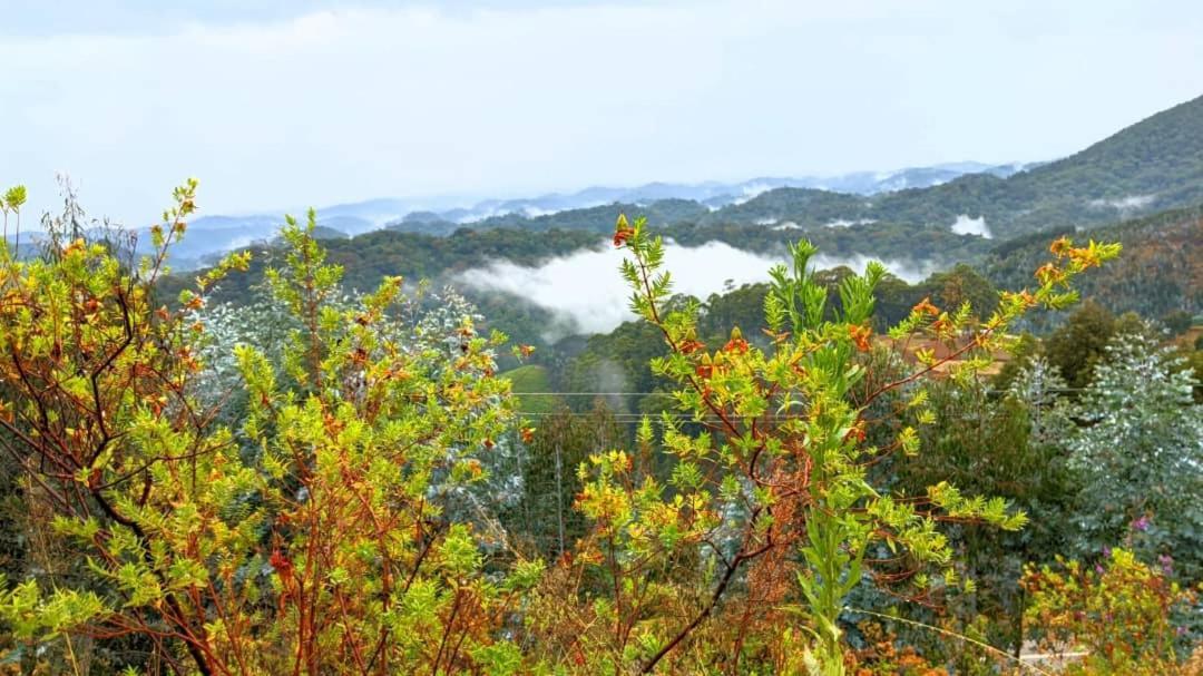 Nyungwe Village Kitabi Ngoại thất bức ảnh