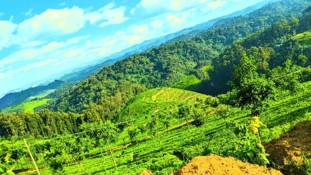 Nyungwe Village Kitabi Ngoại thất bức ảnh